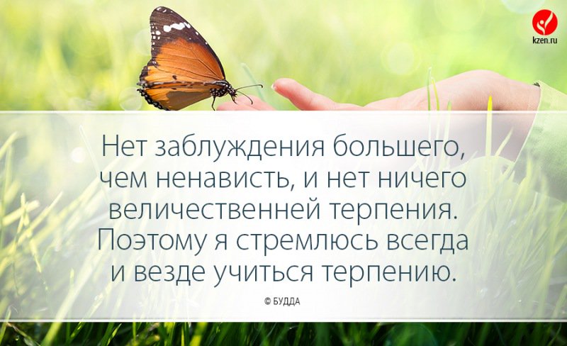 gunnagentoha's tweet photo. https://t.co/VWu9k0Pl4Q
