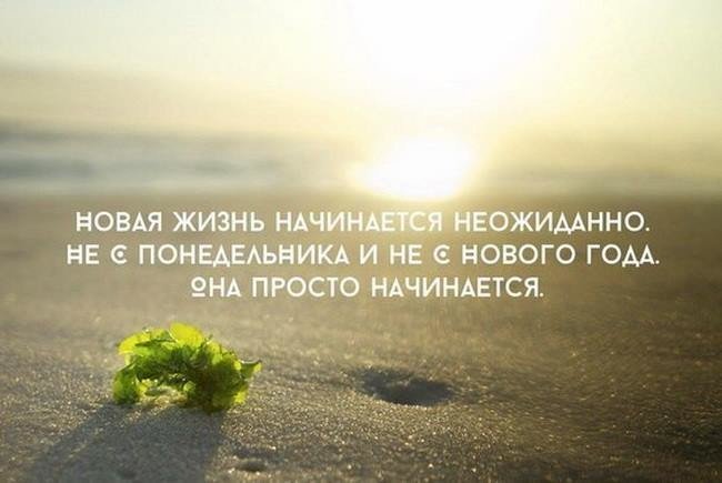 gunnagentoha's tweet photo. https://t.co/Z5d1Iil5UE