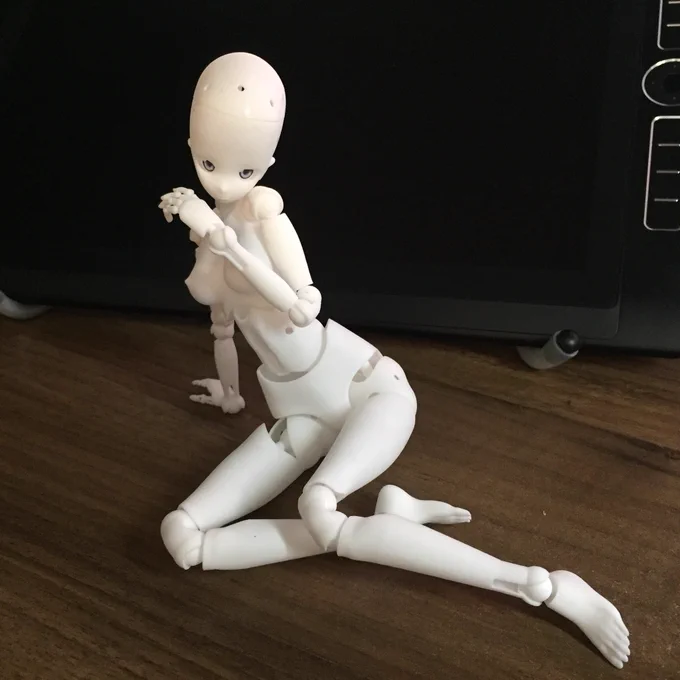 『漫画家が作った1/6可動デッサンドール』手に入れました。とてもよくできている… 