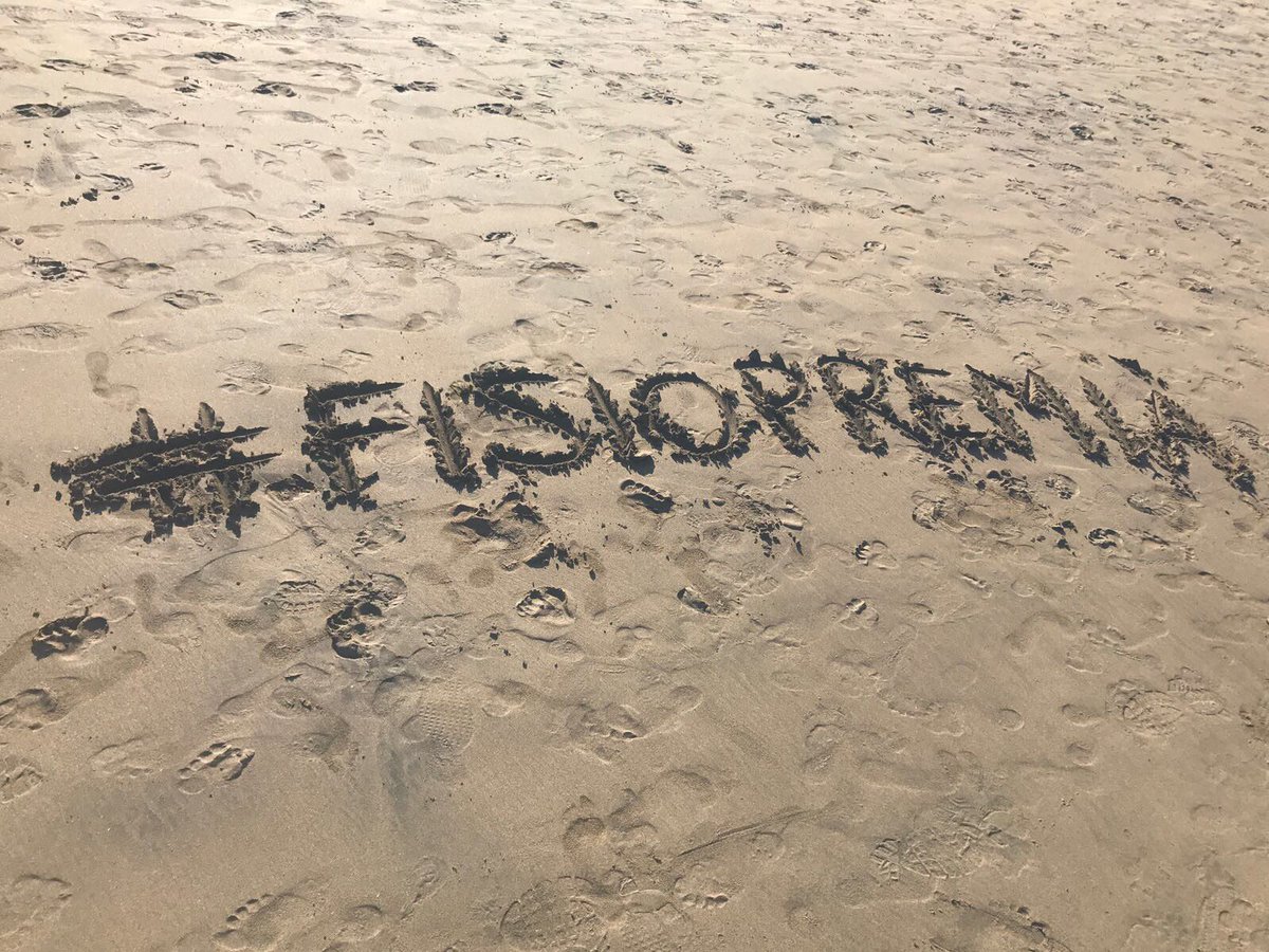 FisioPremia's tweet photo. Aquest estiu no tanquem a #FisioPremia. Teniu el servei de #fisioterapia cobert tota la temporada estival.
📸@fernandesA14 https://t.co/TwEZ1MoMGb