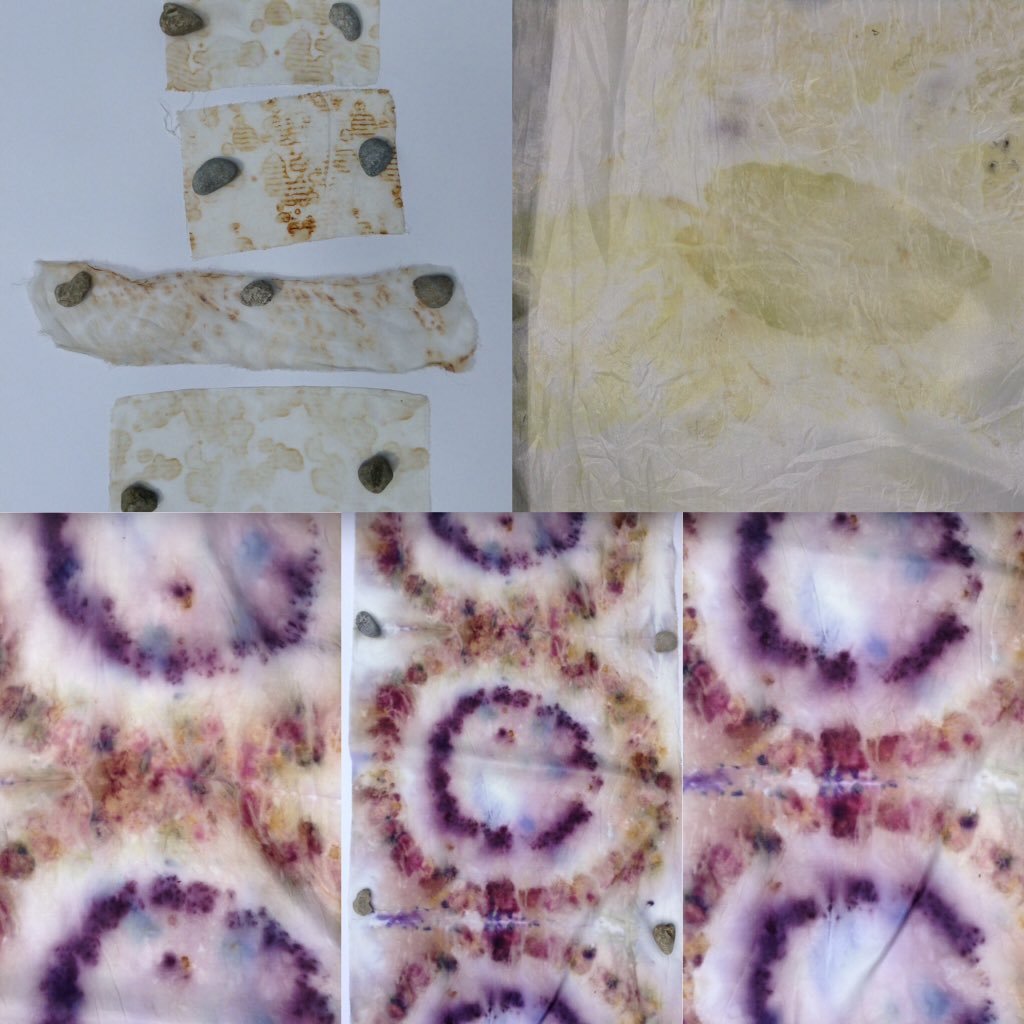 JaneCarlisleArt's tweet photo. Diverse results from #rustmarking, #ecoprinting pale green parkland leaves & bold Autumn berries! #silkart #fibreart #textileart #artprocess https://t.co/07GooVl3fj