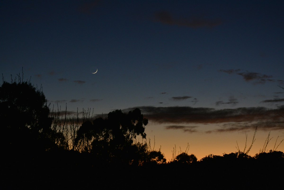WombatSLO's tweet photo. Sun chasing the moon. Saturday morning in #EmeraldVIC, #Dandenongs. #mynikonlife https://t.co/K9QgLGDLTw