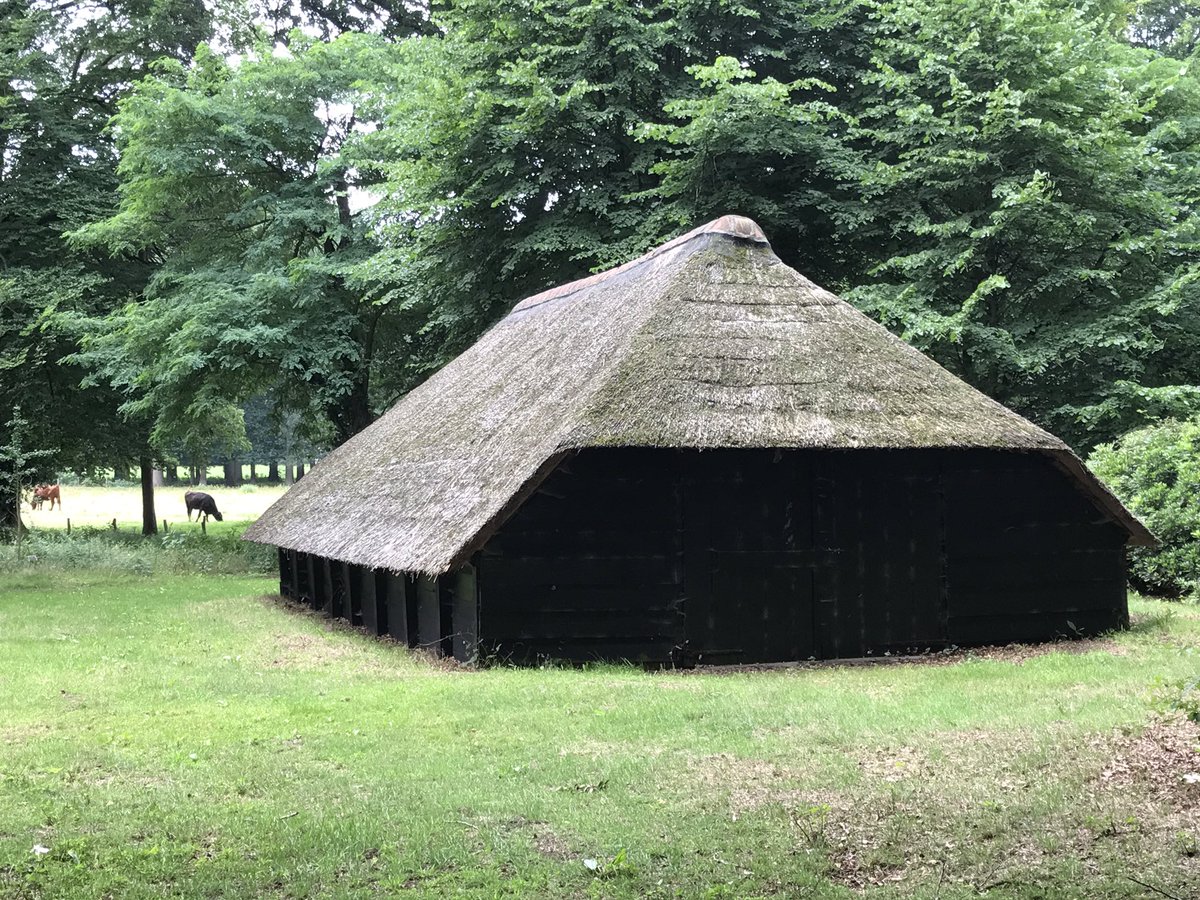 Het #bos en #schaapskooi tussen #Putten &amp; #Ermelo