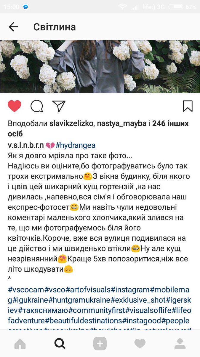 andrianabren's tweet photo. Такі наші гортензії https://t.co/EepAROY152