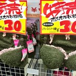 ブラジャーには見えなかったwこれをつけて草むらに身を隠してもバレなさそうw