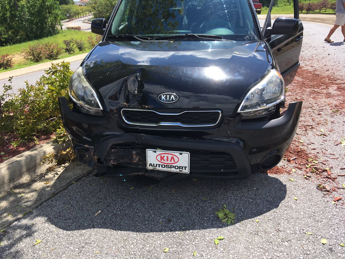 kaaaaiiiiaaaa__'s tweet photo. #ripkia #riptree https://t.co/qURd63zJht