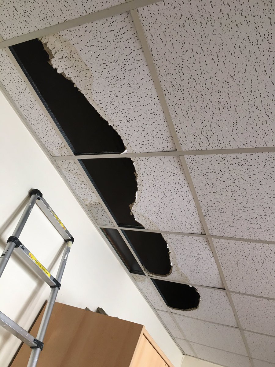 Ingrambms's tweet image. Ceiling tile replacement #ipbservices