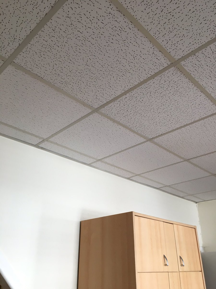 Ingrambms's tweet image. Ceiling tile replacement #ipbservices