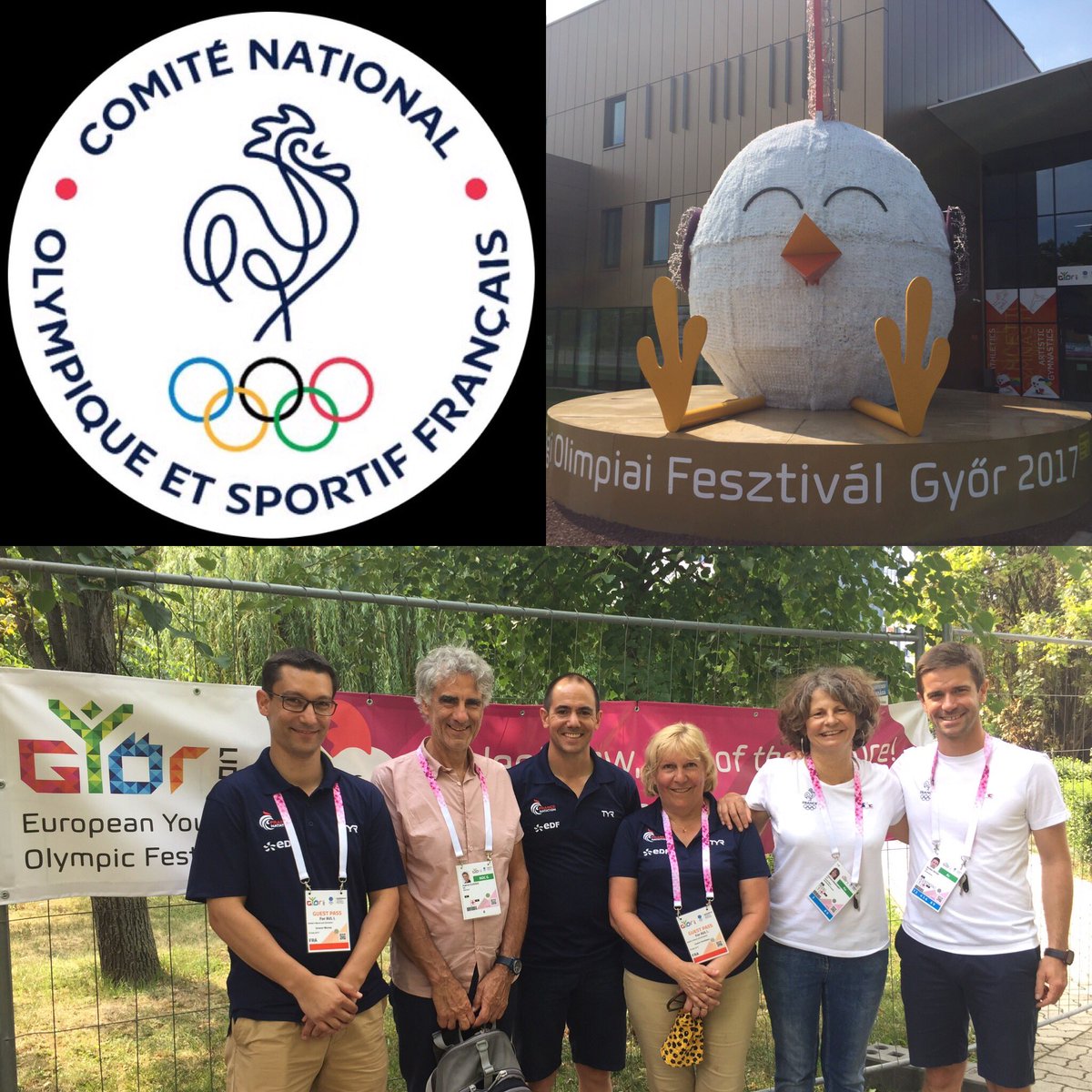 GuivarchLoBzh's tweet photo. Passage à #Győr2017  pour les #Foje2017 et encourager les jeunes nageurs. Le Porte 🇫🇷 est Clement BIDARD @Team_Strasbourg @david_wagner_ 💪🇫🇷 https://t.co/qSblVx1Avy