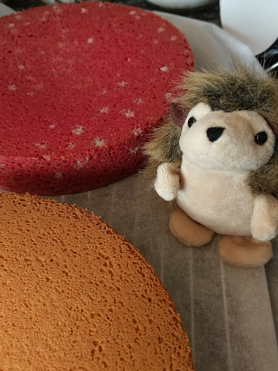 FuriouslyFree's tweet image. Herman is guarding the #birthday #cake

Good hedgehog

#freefrom #glutenfree #DairyFree