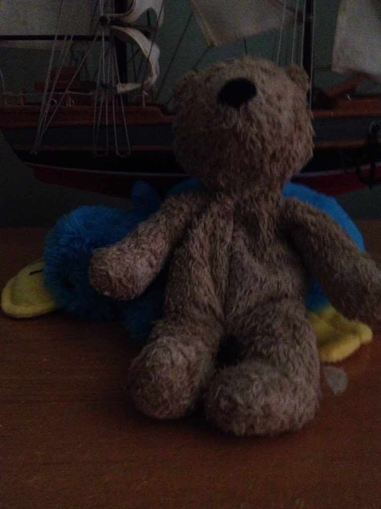 BearBankai's tweet photo. following my bear dreams #BearPirates https://t.co/l3ho8cQ2aH