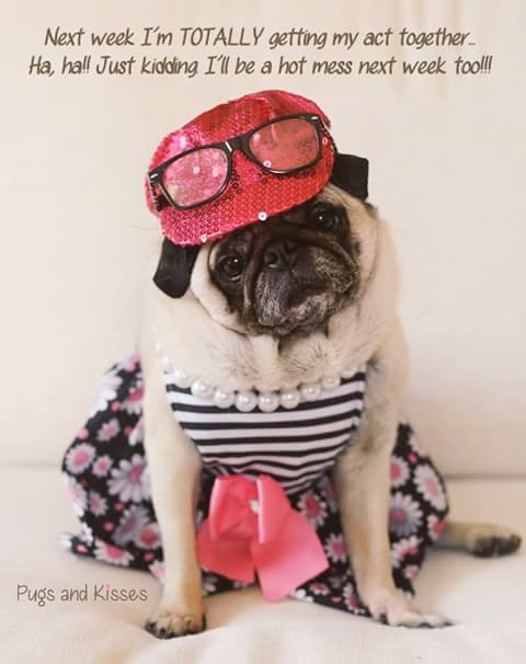 So true 😂😂😂😂