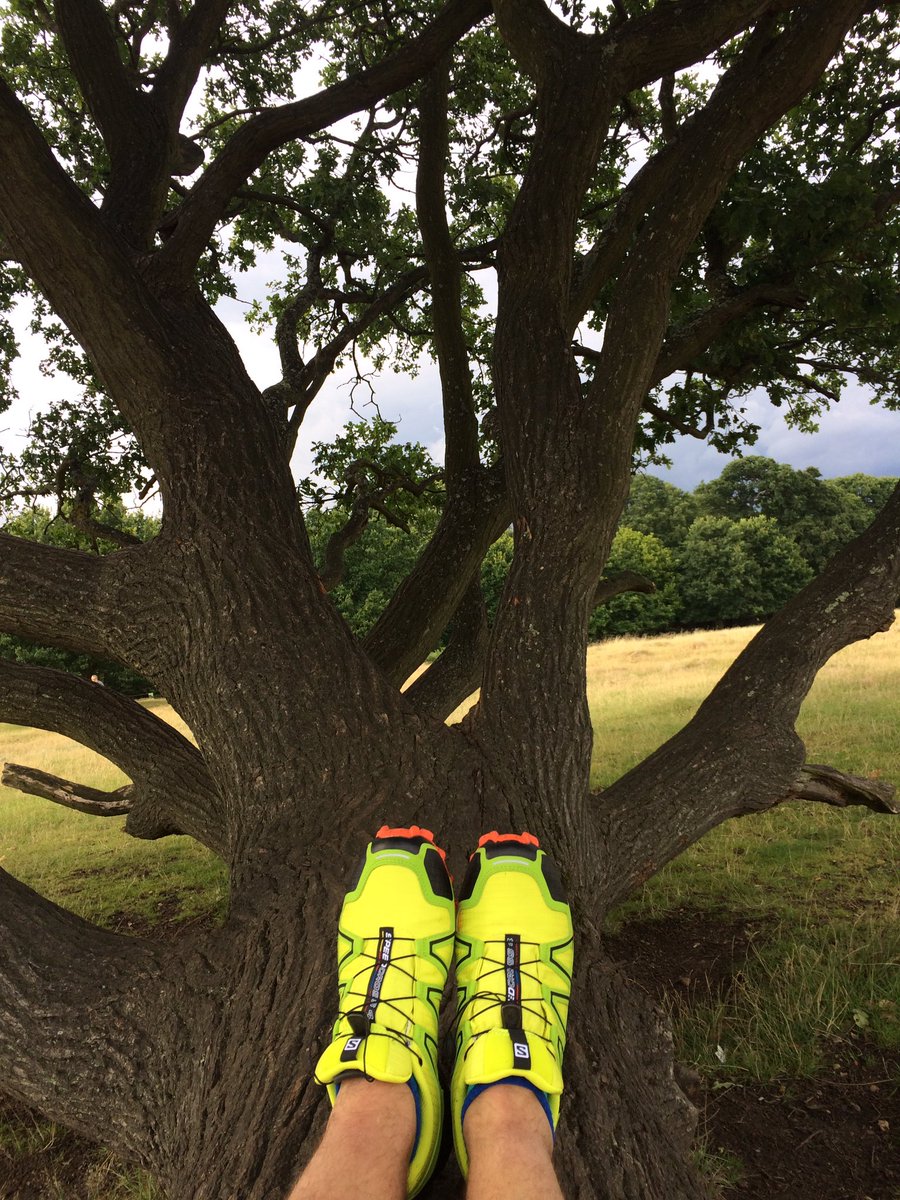 48peakslater's tweet photo. Moody skies, fallow deer 🦌 &amp; awesome new @SalomonSports speedcross trail running shoes #notmissingthemountains #amreally https://t.co/uNVRtwUuei