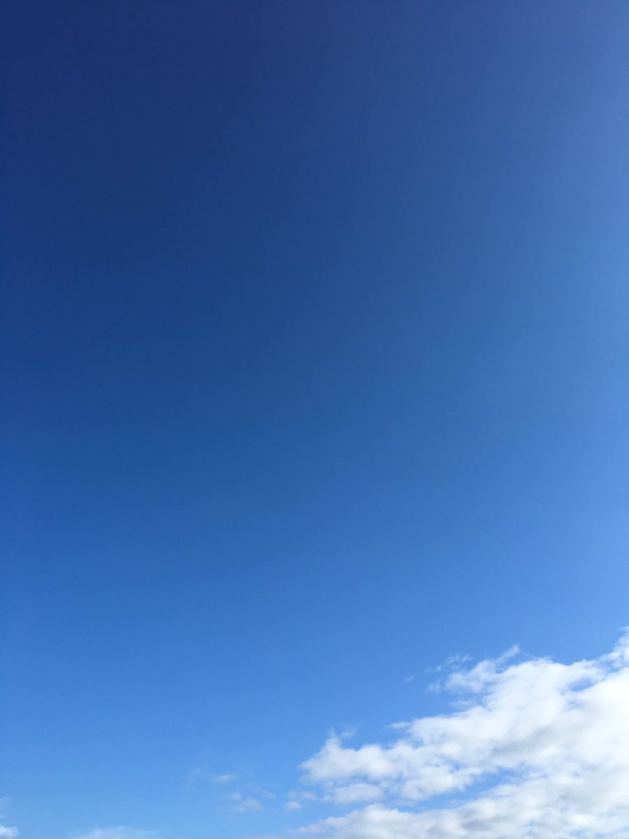 CoGSWCamp's tweet photo. Blue skies are holding up for the first night at Camp! Phew! https://t.co/2JjnGMdMjh