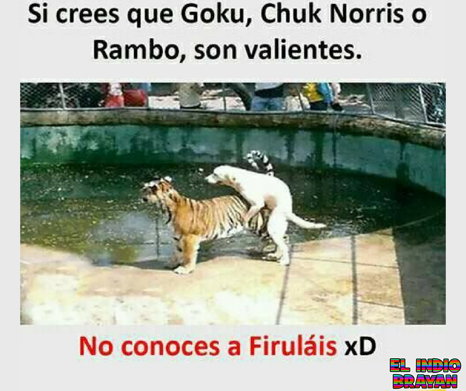 Resultado de imagen para Humor en el zoologico"