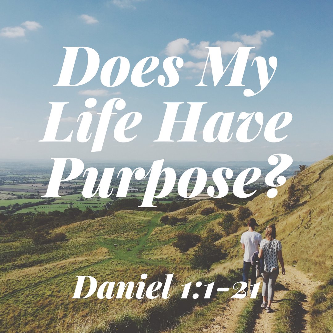 What you missed today...