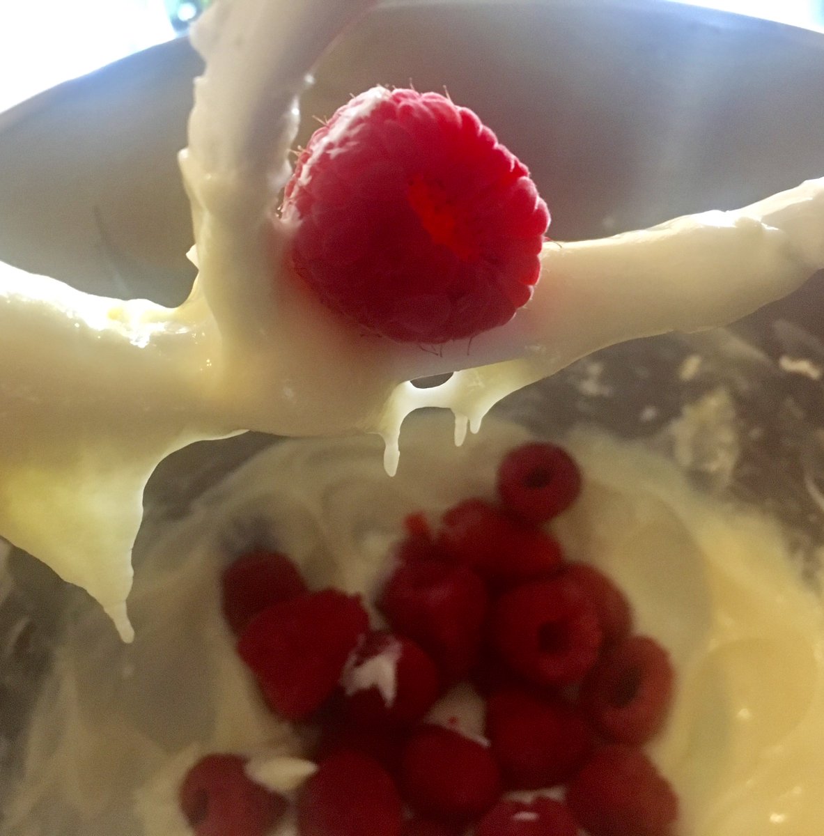 fryandpie's tweet photo. #GetGiddy with #TheSweetFool #PersonalPie @fryandpie @HiHoNola #RaspberryWhiteChocolateMousse #Pie on a #Chocolate Cookie Crust 🤣 https://t.co/nJCgU0uFOx