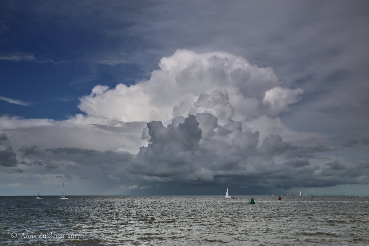 Weer een prachtige foto van het Wad gemaakt door <a href="/AnnaZuidema/">Anna Zuidema 🌤🌧☔🌪⛈❄</a> <a href="/WerelderfgoedWZ/">Waddenzee Werelderfgoed</a>
