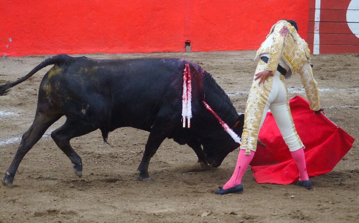 Triunfa el matador José Luis Angelino en Atltzayanca al cortar 4 orejas y realizar una gran faena de clase y torería en su segundo toro.
