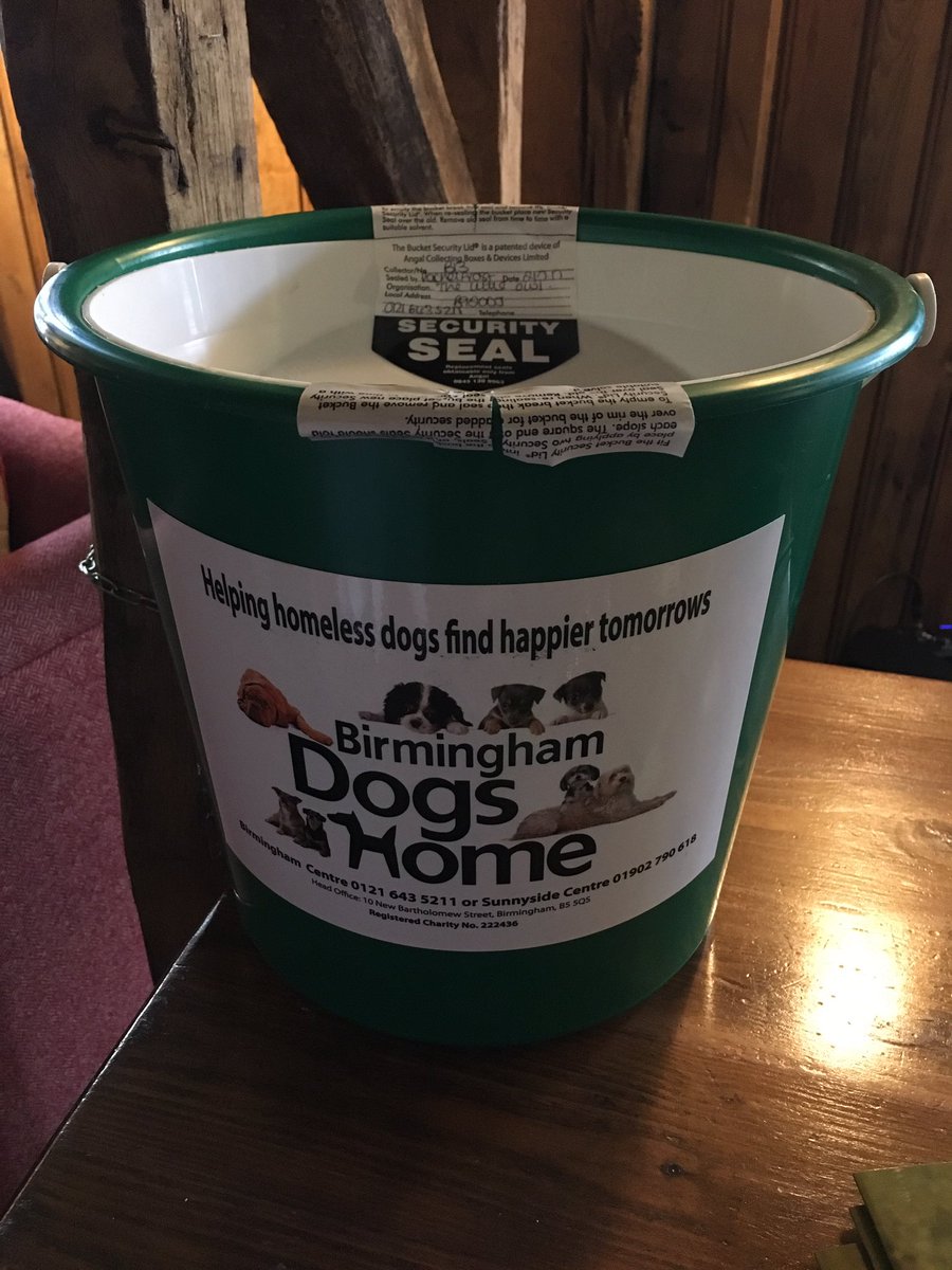 Great gig at The Little Owl's gin festival yesterday to raise money for <a href="/BhamDogsHome/">Birmingham Dogs Home</a>.