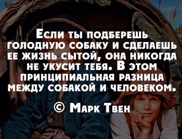 Мудрость веков (@delaisam) on Twitter photo 