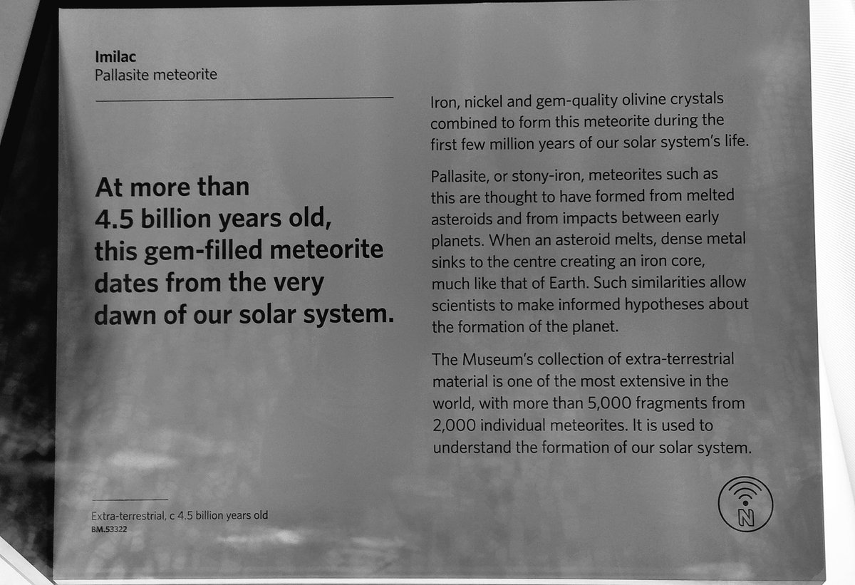 Found something older than me #NaturalHistoryMuseum #london