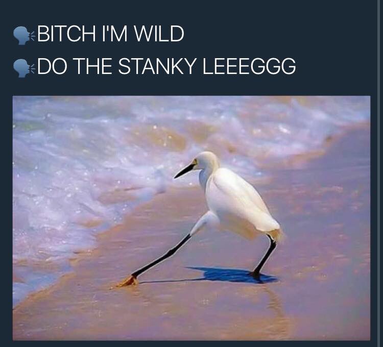 Glamazontyomi's tweet photo. 🗣GRAND RISING! Do the stanky leg in praise of your life this morning 😂😂 #trapchurch https://t.co/cPzNiXRzTY