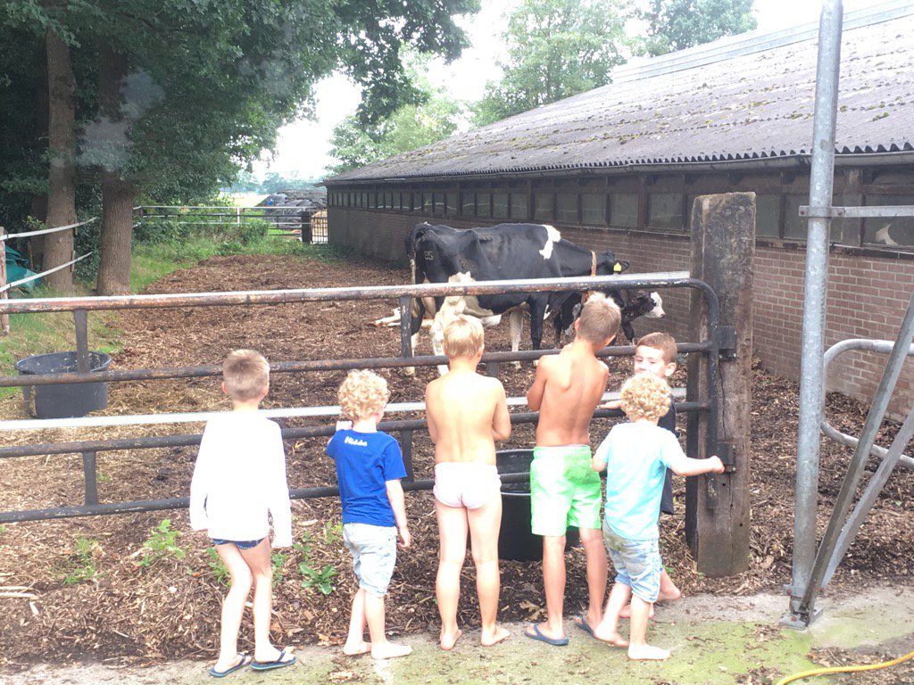 koeienboerjames's tweet photo. #Koekalverij Groeten uit de #koeientuin. 🐄🐼🐮👍🏼#123-mama's https://t.co/YoEsvmKQWb https://t.co/zsWmNXmhiC