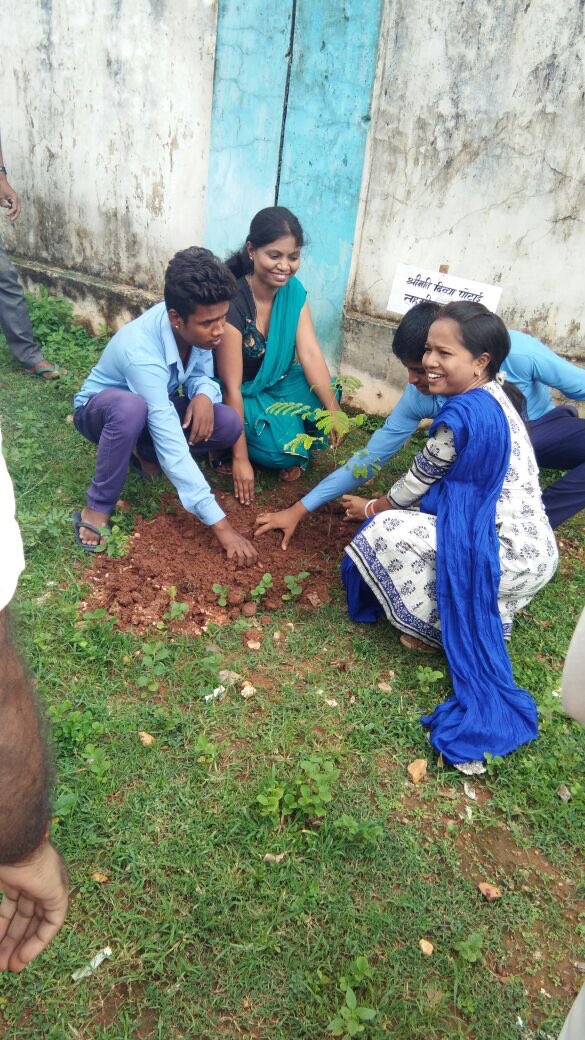 DantewadaDist's tweet photo. Few glimpses of Hariyar Chhattisgarh Movement in #Dantewada District. #CGplants8CrTrees #HopeNaturally #LifeBeyondConflict https://t.co/9M6vvafw2l