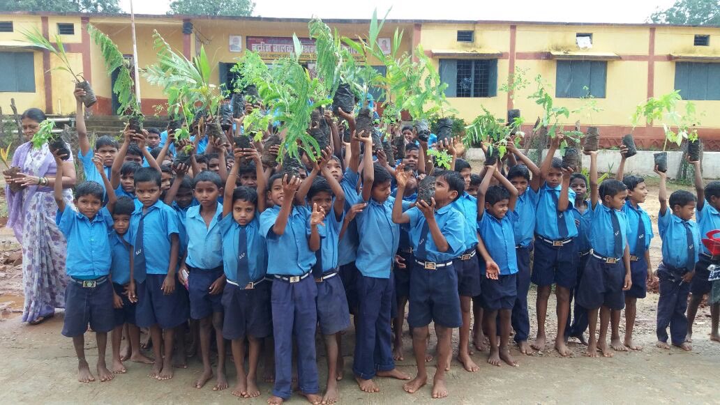 DantewadaDist's tweet photo. Few glimpses of Hariyar Chhattisgarh Movement in #Dantewada District. #CGplants8CrTrees #HopeNaturally #LifeBeyondConflict https://t.co/9M6vvafw2l