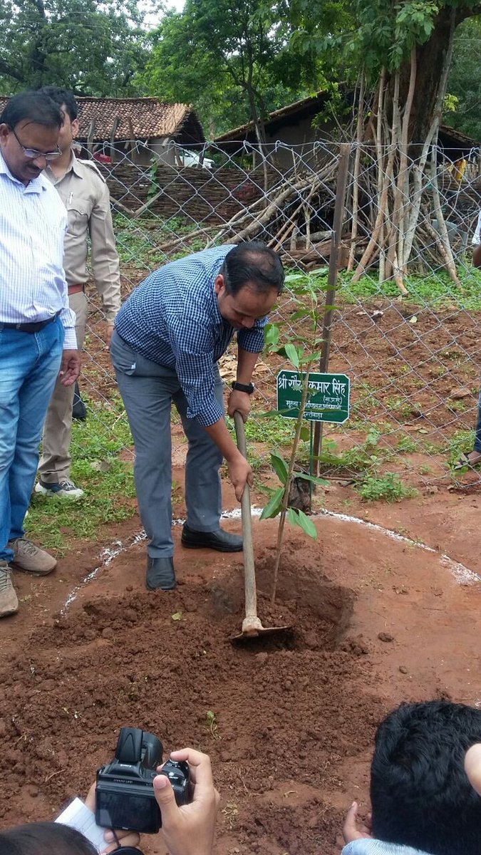 DantewadaDist's tweet photo. Few glimpses of Hariyar Chhattisgarh Movement in #Dantewada District. #CGplants8CrTrees #HopeNaturally #LifeBeyondConflict https://t.co/9M6vvafw2l