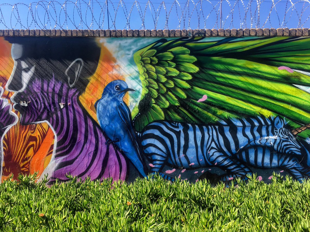 UlrichJvV's tweet photo. Johannesburg has some of.the.most.AMAZING graffiti! We're exploring Westdene Graffiti Project. Residents donated their walls to artists 😍❤️��� https://t.co/UxYCWJt4Gj