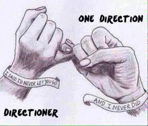 AlexWarrior1D's tweet photo. #7YearsAndWeAreStillHere #7YearsOfOneDirection #Happy7YearsOneDirection love you more than anything πβ€οΈππ I'm fucking proud of you https://t.co/RleeUUSHOh