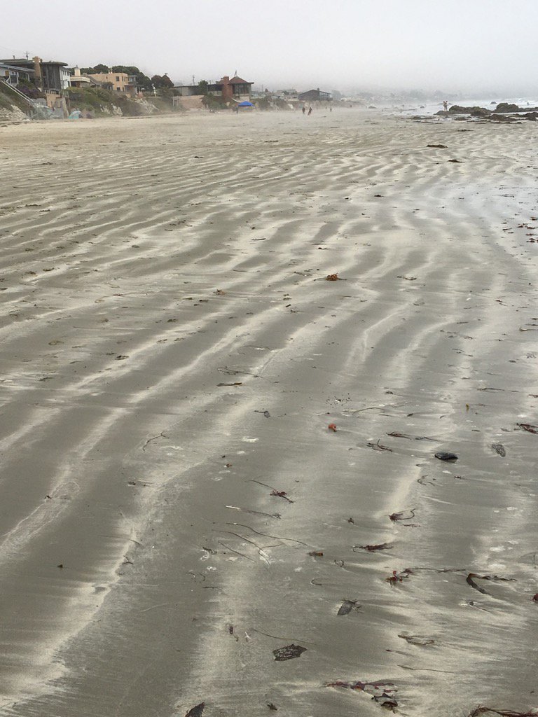 jodymathcoach's tweet photo. #lines #mathphoto17 lines in the sand https://t.co/FdCkauHrWl