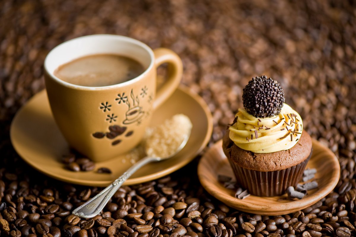 feel_coffee's tweet photo. Caffè e dolcetto per un pomeriggio perfetto ;)

#Buongiorno #coffee #sun #espresso #caffè #cafè #breakfast #colazione #Italy #Goodmorning https://t.co/5xnduB8siW