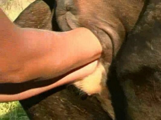Milk is cruel.