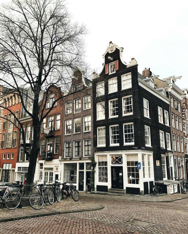 DUTCHDILIGHT's tweet photo. https://t.co/EQb2MK9JiS