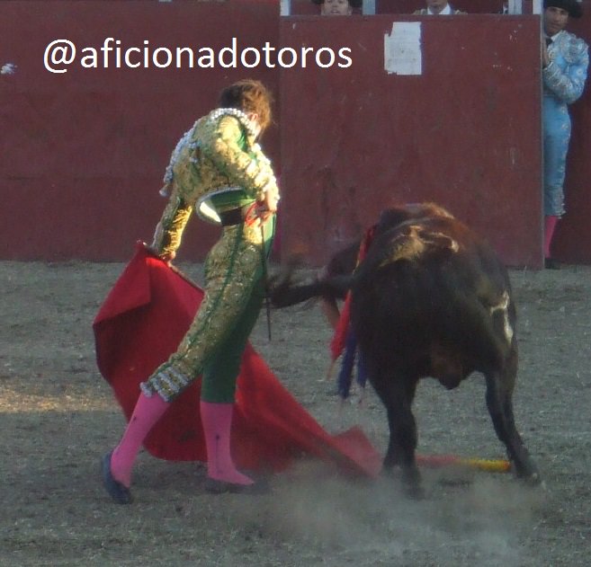 aficionadotoros's tweet photo. @aarontoroos con muchas ganas y gran nivel con capote y muleta, muletazos muy personales https://t.co/4GSCOzkmOt