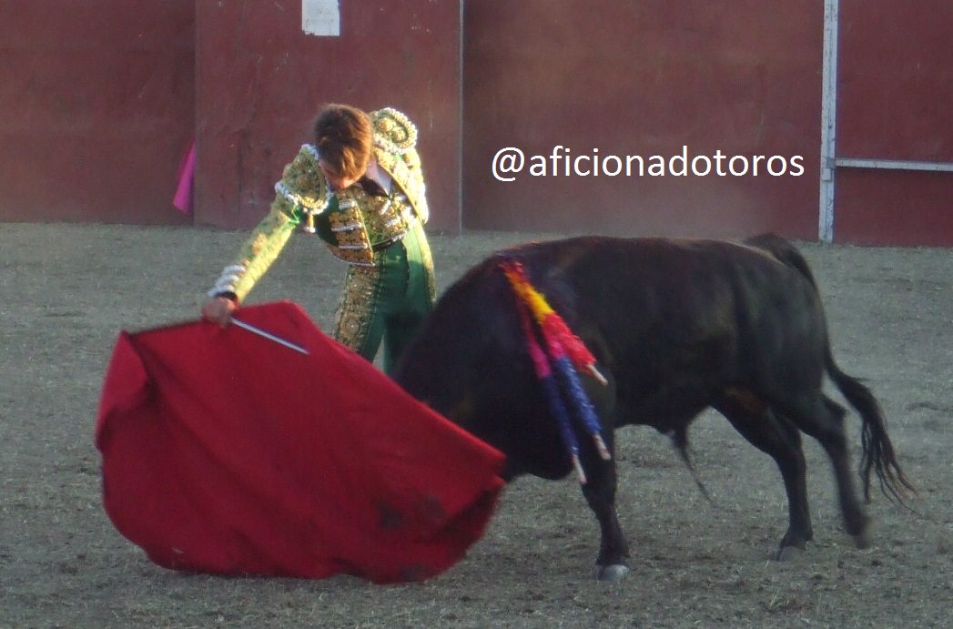 aficionadotoros's tweet photo. @aarontoroos con muchas ganas y gran nivel con capote y muleta, muletazos muy personales https://t.co/4GSCOzkmOt