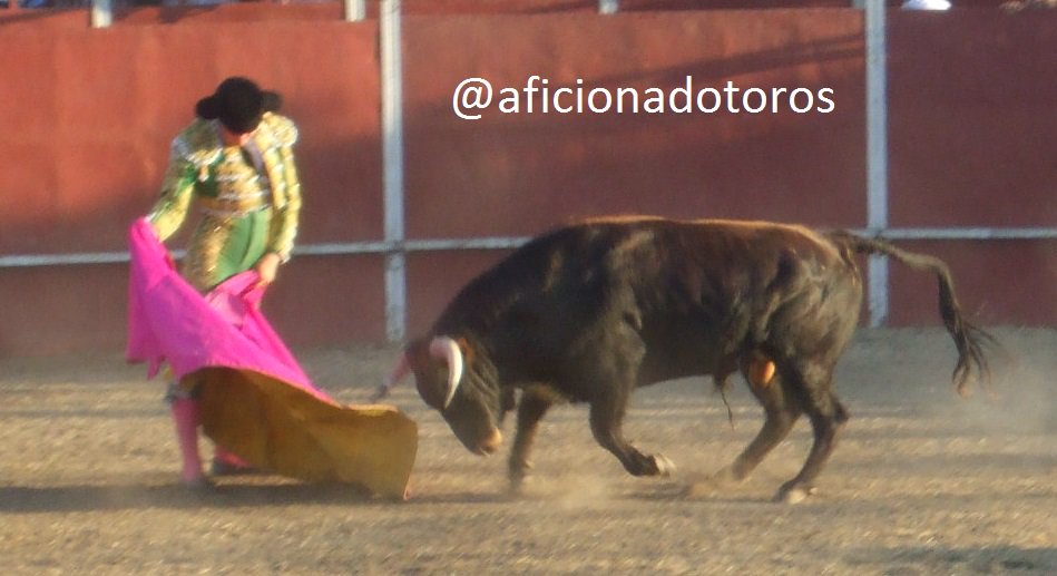 aficionadotoros's tweet photo. @aarontoroos con muchas ganas y gran nivel con capote y muleta, muletazos muy personales https://t.co/4GSCOzkmOt