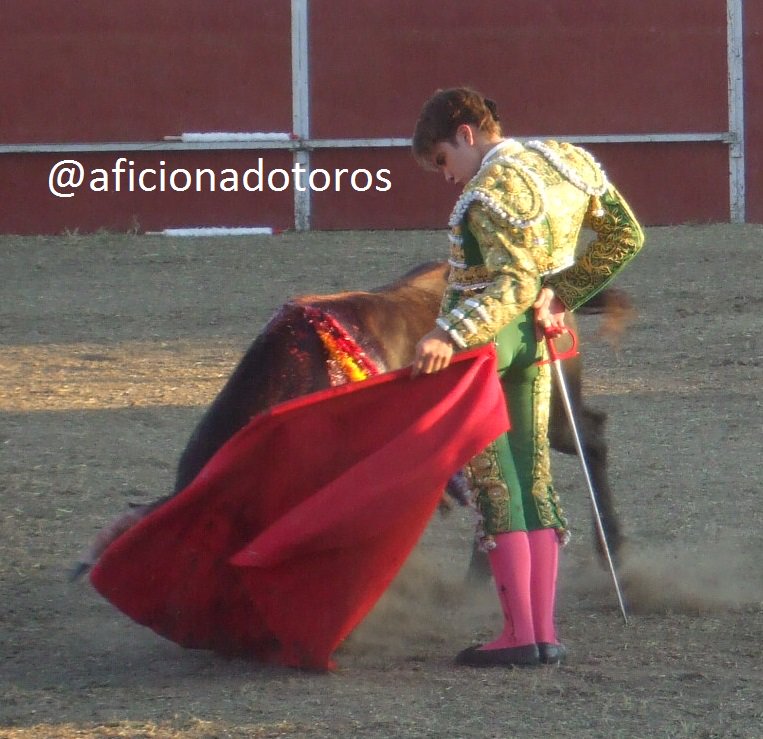 aficionadotoros's tweet photo. @aarontoroos con muchas ganas y gran nivel con capote y muleta, muletazos muy personales https://t.co/4GSCOzkmOt