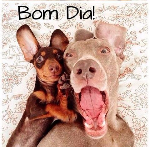 Rosy Espinoza (@rfmary30) on Twitter photo 