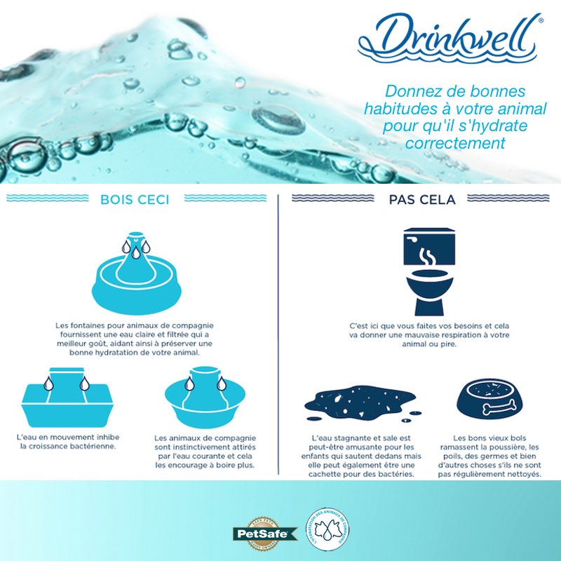 PetSafeFR's tweet photo. #HYDRATATIONANIMALE - ne laissez pas votre animal avoir de mauvaises habitudes pour son hydratation ! 🐶💦😺😀 #Info #chienchat https://t.co/EUMIawql7M