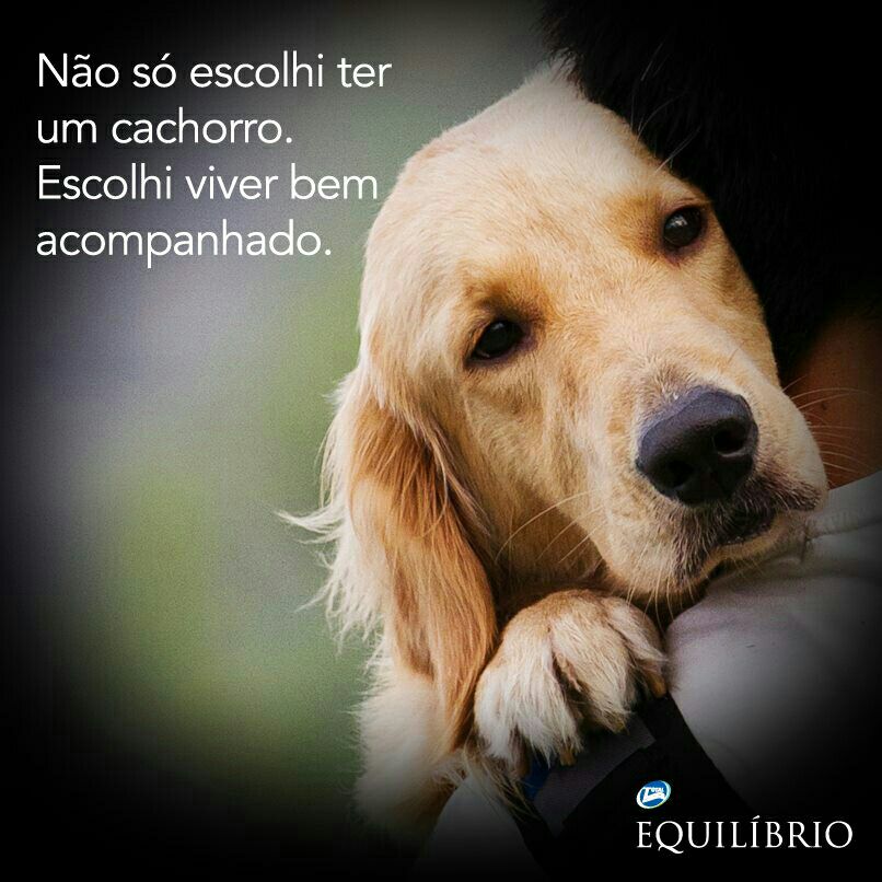 ❤amor que não se mede.