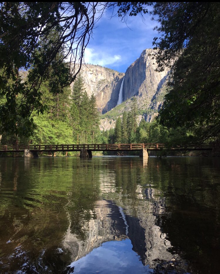 Ryan Simonson tweet media