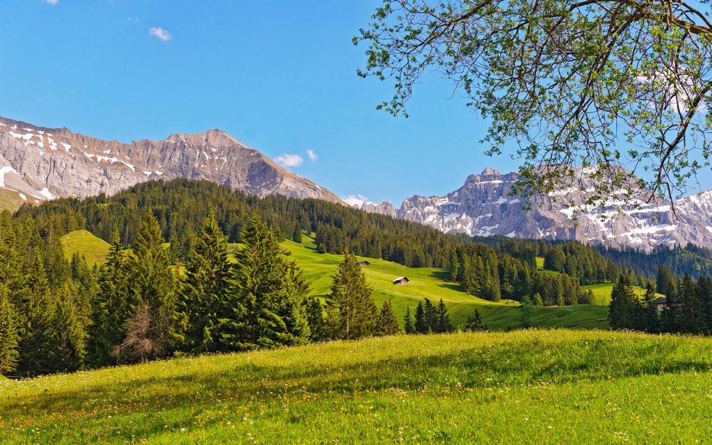 CanyurekCan's tweet photo. Buz gibi yayla havasında olmak vardı şimdi.
#çoksıcak https://t.co/wXD54DOW5t