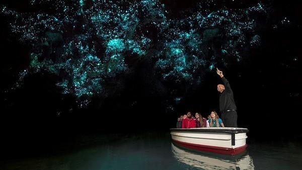 clarincom's tweet photo. Nueva Zelanda: cuevas que son un paraíso debajo de la tierra https://t.co/OqllYzEMRp https://t.co/LeRU9LGf0D