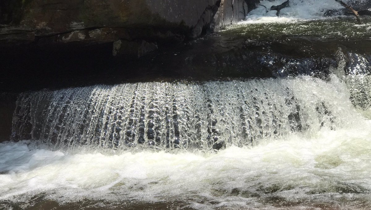 If you always color inside the lines, the picture never changes.