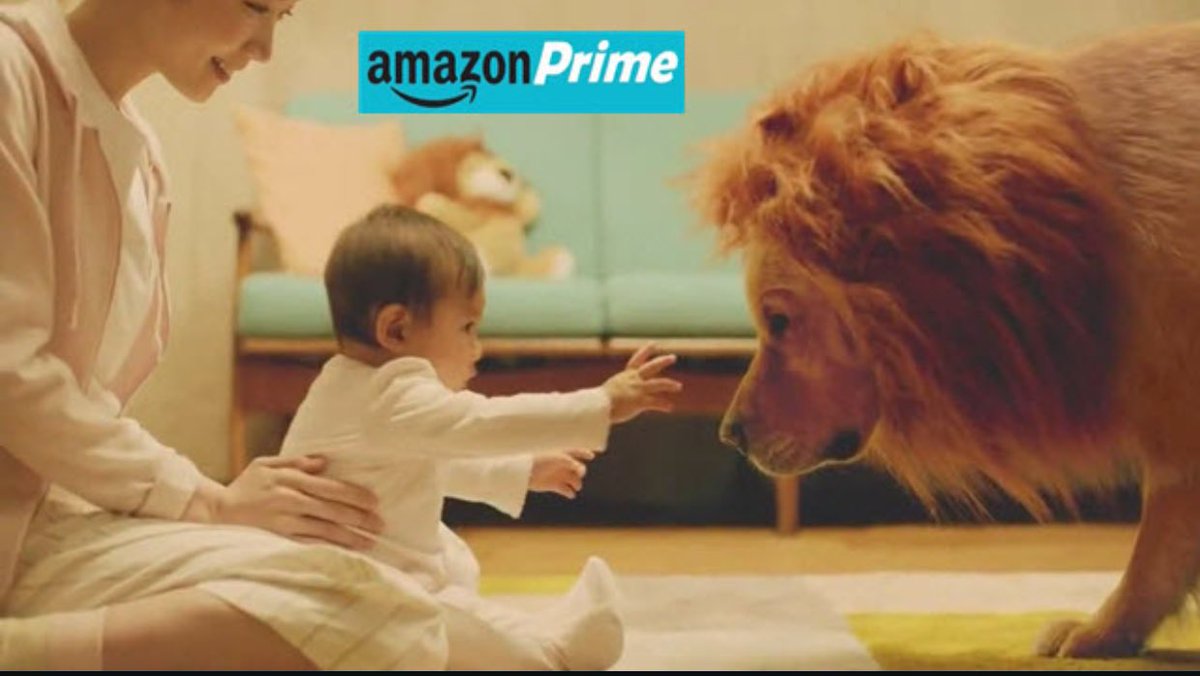 DR12ZEB's tweet photo. @amazon love the Amazon Prime Lion Dog  advert ❤️ Love Amazon and love the adverts! 👍🏼 https://t.co/EiSqnlEhWf