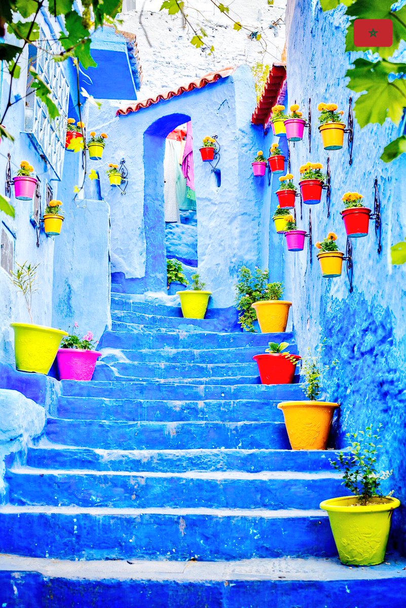 nt_wzd's tweet photo. #Chefchaoun #Blue #Pearl #Colours #Art #Heritage #Maroc #Morocco #Marokko #Blue #Cat #جمال #المغرب #شفشاون https://t.co/M6zQ3KvAW5